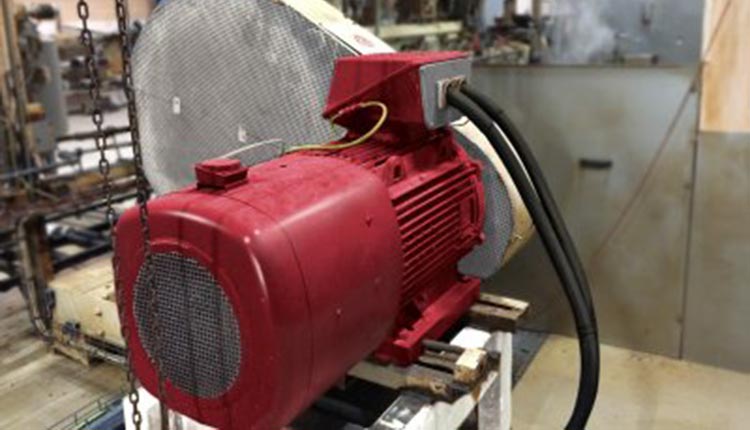Dyneo permanent magnet motor saves fish feed producer 135,000 kWh per year